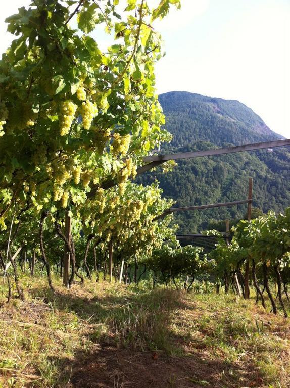 Bauernhof Le Cavade Cembra Lisignago