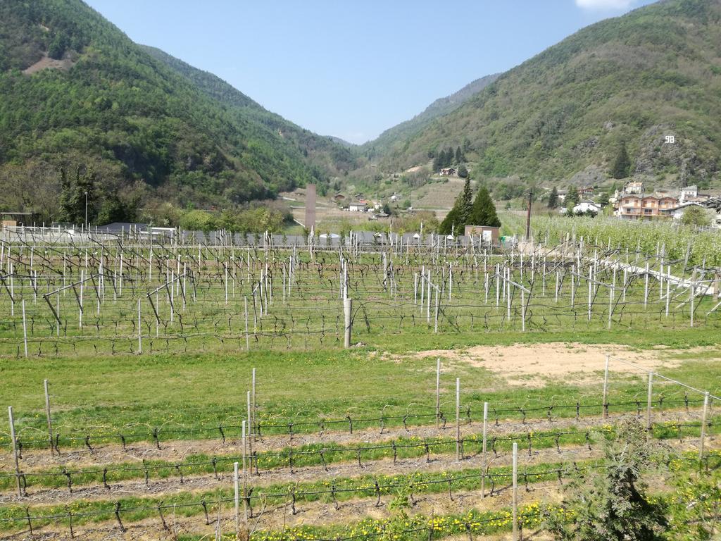 Bauernhof Le Cavade *